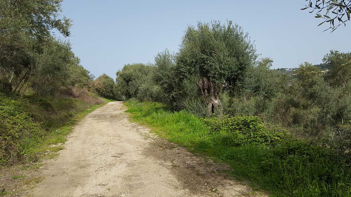 land for sale in the village of arkadades, corfu, istoni premium real estate corfu 3